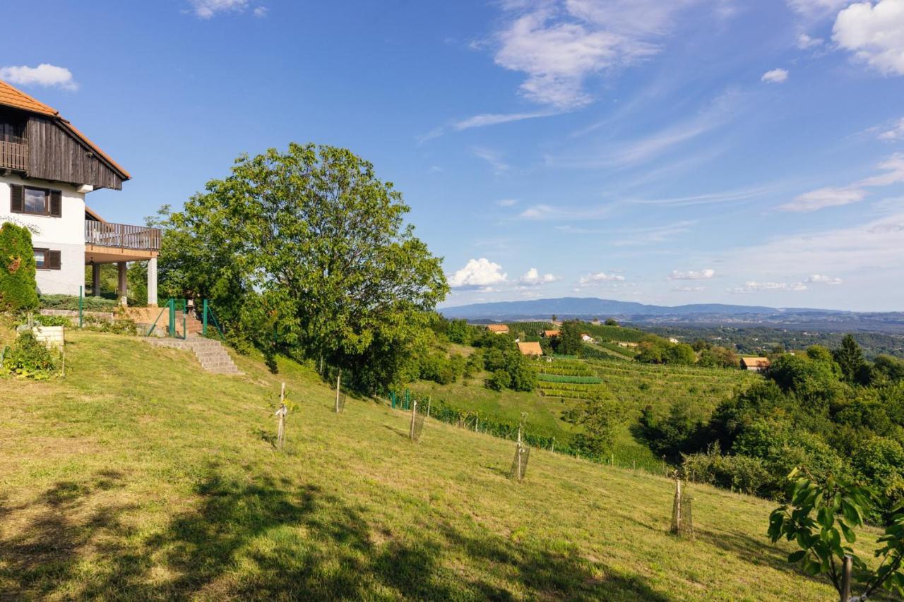 Cosy Hill Home Rucman With A Breathtaking View Zgornja Pohanca Ngoại thất bức ảnh